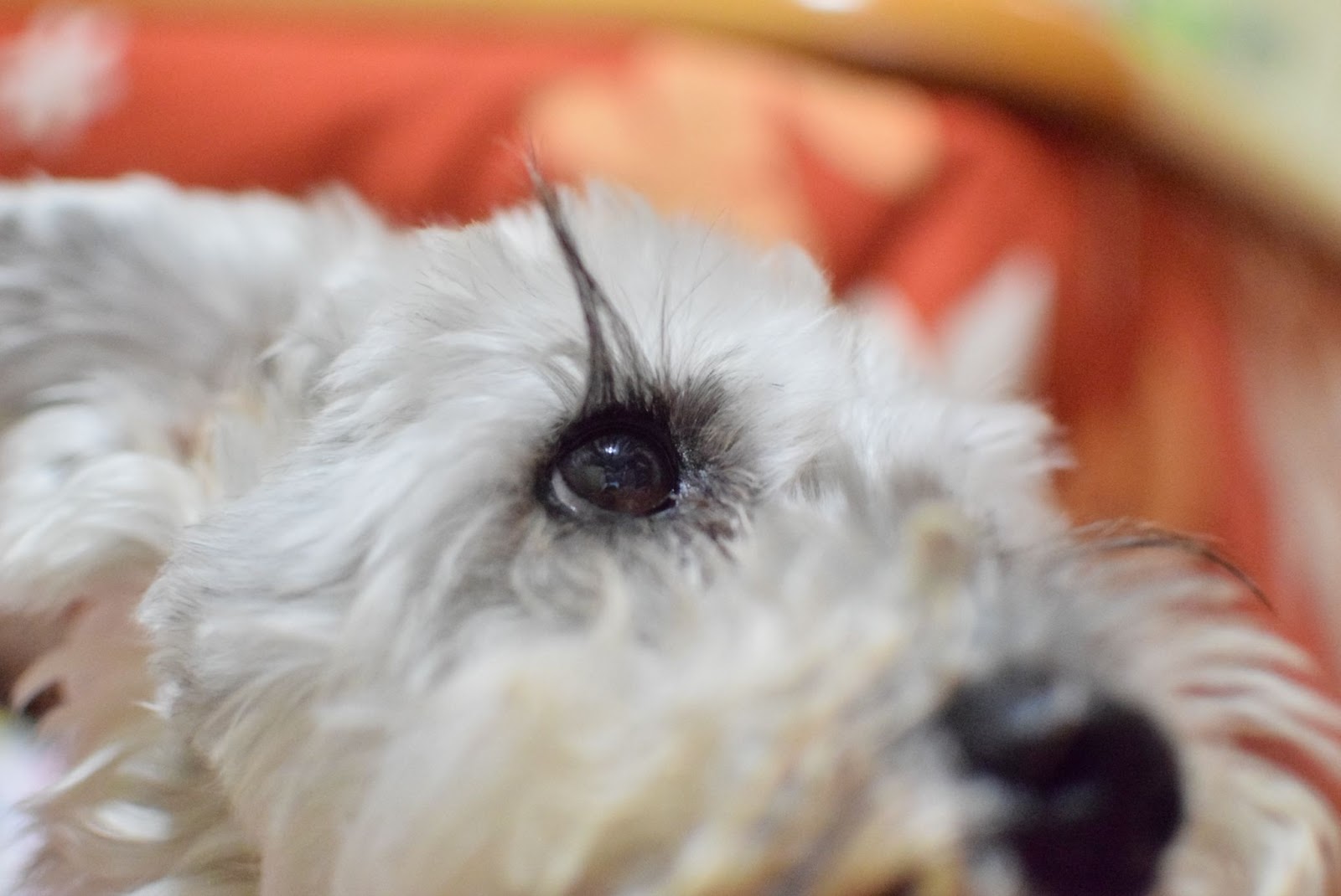 試してみるデメリット