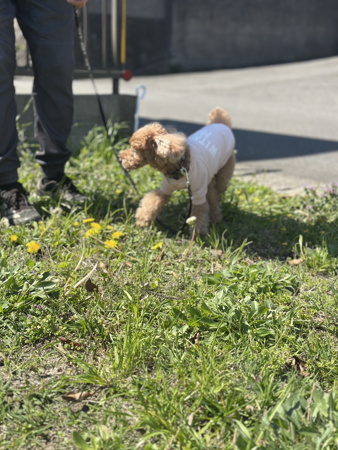 精神と身体の繋がり